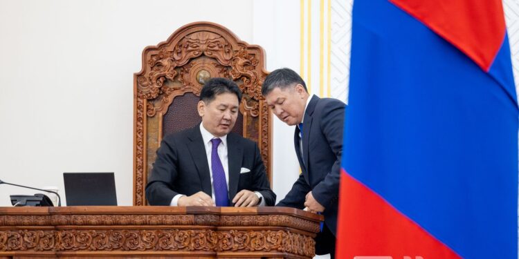 Ах нь тэрбум мод тарихаар болж, дүү нь мод устгачихав уу?