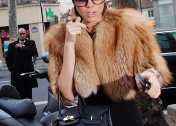 Викториягийн цүнх мэргэжилтнүүдийн санааг зовоож байна