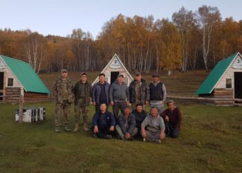 Хонгор суманд 10 гаруй айлын хотонд баавгай ирж, 30 гаруй бог мал идэж, иргэдийг айдаст автуулжээ