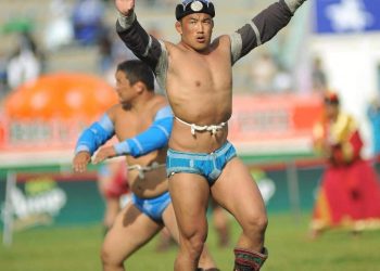 Аймаг сумдад бөхчүүд Засаг дарга болж байна