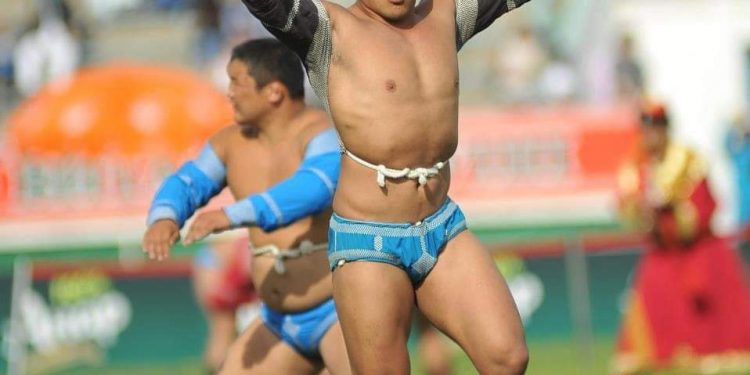 Аймаг сумдад бөхчүүд Засаг дарга болж байна