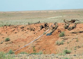 ДЭЛХИЙН ХАМГИЙН АНХНЫ ХУРДНЫ ЗАМ МЯНГАНЫ БҮТЭЭН БАЙГУУЛАЛТ