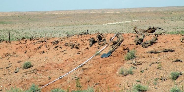 ДЭЛХИЙН ХАМГИЙН АНХНЫ ХУРДНЫ ЗАМ МЯНГАНЫ БҮТЭЭН БАЙГУУЛАЛТ