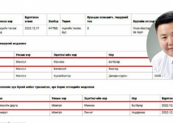 Соёлын дэд сайд сан байгуулан, мөнгө босгож гаршив уу?