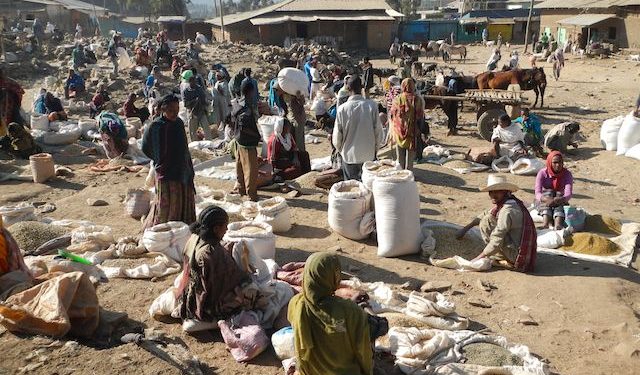 Африк тивийг цөлмөсөн арав гаруй компани хэдийнэ манай улсад ороод ирсэн