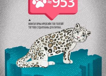 Монголд 953 цоохор ирвэс байна