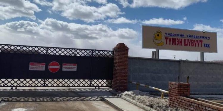 “Түмэн шувуут”-ийн импортолсон 134640 ширхэг үржлийн өндгийг хорио цээрийн дэглэмд оруулжээ