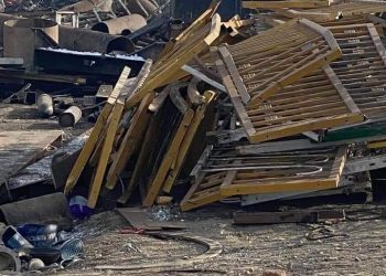 Шар хайсыг 800 саяар оруулж ирсэн  “Даян байгаль” ХХК-д ямар хариуцлага тооцох вэ?