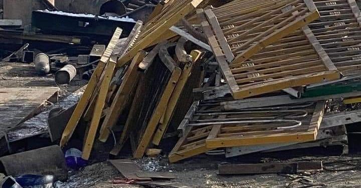 Шар хайсыг 800 саяар оруулж ирсэн “Даян байгаль” ХХК-д ямар хариуцлага тооцох вэ?