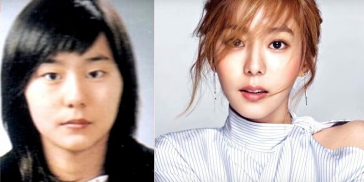 Мэс заслын ширээн дээр шинээр “мэндэлсэн” солонгос одод