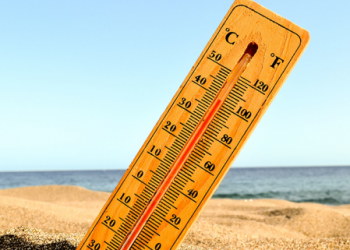 Наршилтаас урьдчилан сэргийлэх 10 арга