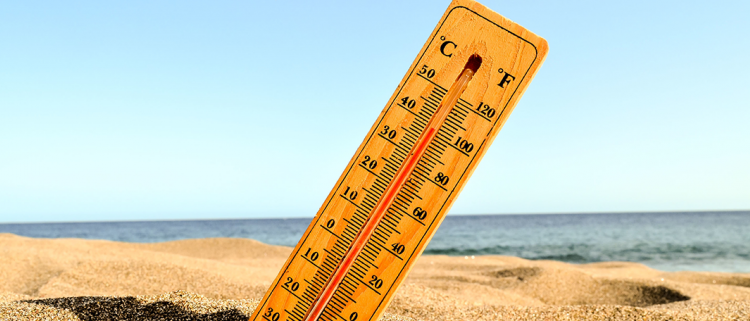 Наршилтаас урьдчилан сэргийлэх 10 арга