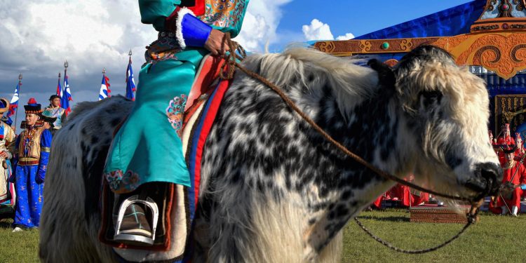 Буриад зон бол цоглог эрч хүчтэй хүмүүс гэдгийг харуулахыг хичээсэн…Салбаганах гэж бодохгүй байна.