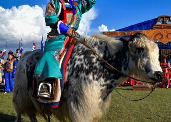 Сарлагийн тухай миний мэдэх юмс