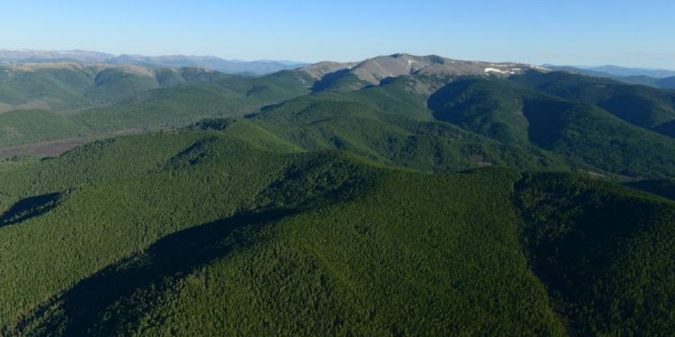 Самарт явсан дөрвөн иргэнийг эсэн мэнд оллоо