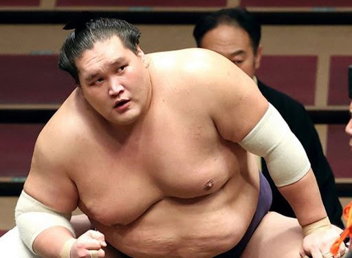 29 настай Тэрүнофүжид 100 хувийн саналаар ёкозүна цол хүртээжээ