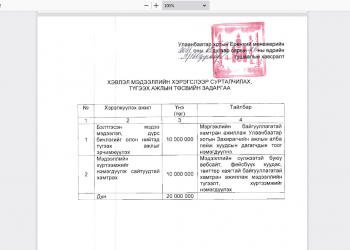 Т.Гантөмөр 59 мянган дагагчтай Захирагчийн албаны пэйжийн дагагчдын тоог нэмэгдүүлэхэд 20 сая төгрөг зарцуулжээ