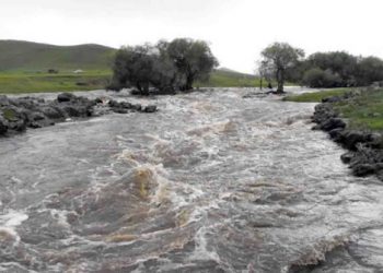 Архангай аймагт аадар борооноор 5000 орчим мал урсчээ