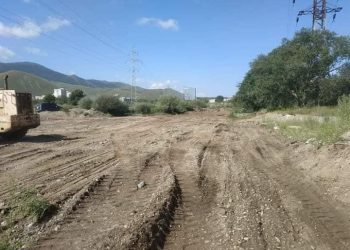 Туулын бургасыг дахиад хядаж эхэлжээ