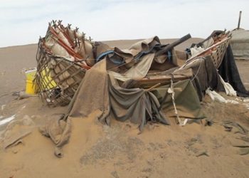 Хүүхдийг ивээх сан Дундговийн шуурганд өртсөн 55 айлд гэр, 380 өрхөд мөнгөн тусламж үзүүллээ