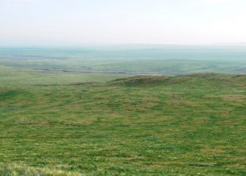 Дуулга уулын өврийг дагаад Хүннүгийн 142 булш бий