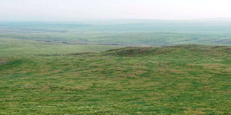 Дуулга уулын өврийг дагаад Хүннүгийн 142 булш бий