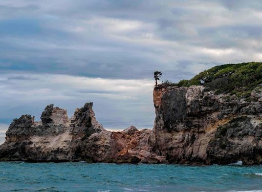 Хясаан дээрээс бууж чадахгүй байсан эмэгтэйг буулгав