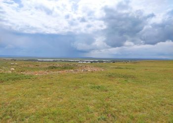 Хүннүгийн бунхнаас алтан тоногтой эмээл гарчээ