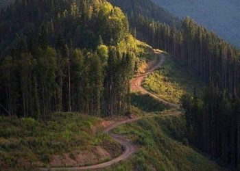 ХӨВСГӨЛИЙН ОЙ ГАЙХАМШИГТАЙ