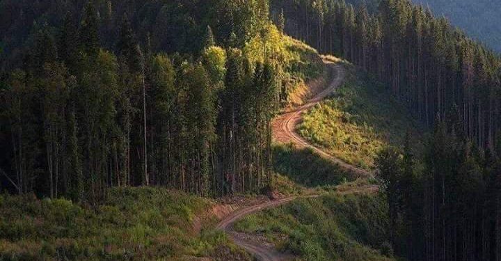 ХӨВСГӨЛИЙН ОЙ ГАЙХАМШИГТАЙ