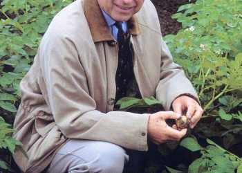 Ханхүү Чарльз 53000 га талбайд эко жимс жимсгэнэ тариалжээ