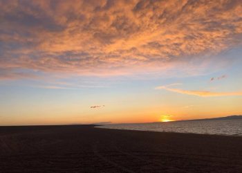 Хяргасын хөвөөнд нуль алт байна