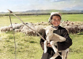 Төрийн албанд шургалсан шуналын тулам цүнх баригчдын балгаар буянт сүрэг маань сүйрч байна