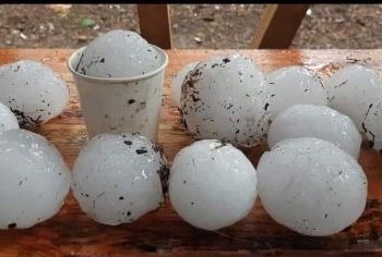 Хэнтийд жижиг аяган чинээ мөндөр оржээ