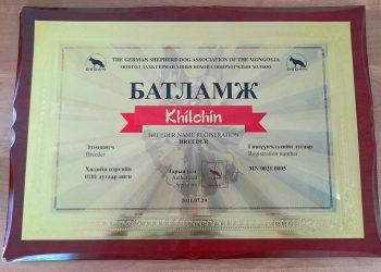 АЛБАНЫ НОХОЙН ҮРЖЛИЙН ГАЗАР НЭЭГДЛЭЭ