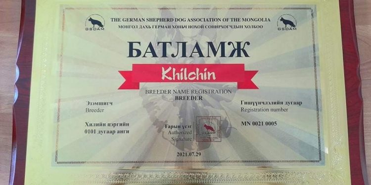 АЛБАНЫ НОХОЙН ҮРЖЛИЙН ГАЗАР НЭЭГДЛЭЭ