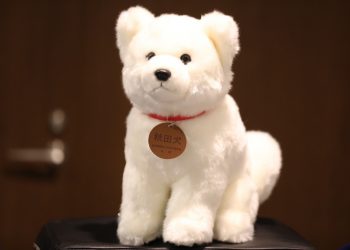 Явсан “9” нохой зууна