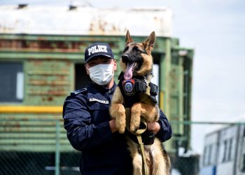 Цагдаагийн эрэлч нохойн алба үүссэний 76 жилийн ойн өдөр