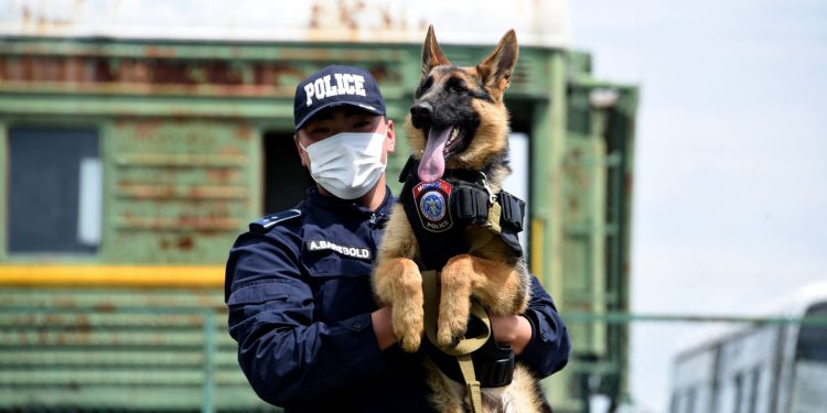 Цагдаагийн эрэлч нохойн алба үүссэний 76 жилийн ойн өдөр