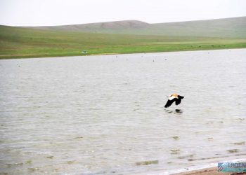 “ХАЯЛГА НУУР”-ЫН ЭКО СИСТЕМИЙГ БҮРДҮҮЛЭХ, БАЙГАЛИЙН ТЭНЦВЭРТ БАЙДЛЫГ ХАДГАЛАХАД АНХААРДАГ