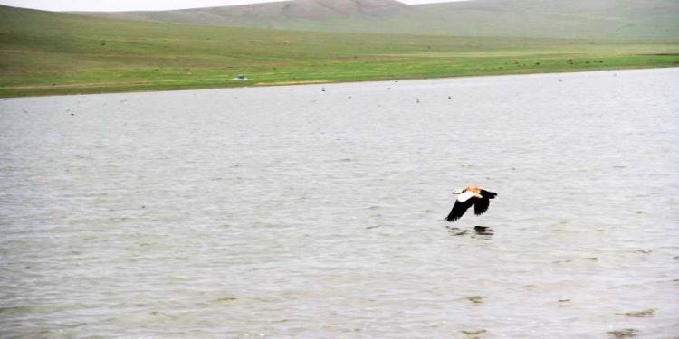 “ХАЯЛГА НУУР”-ЫН ЭКО СИСТЕМИЙГ БҮРДҮҮЛЭХ, БАЙГАЛИЙН ТЭНЦВЭРТ БАЙДЛЫГ ХАДГАЛАХАД АНХААРДАГ