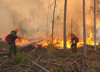 Сибирийн түймрийг унтраахаар 9000 хүн ажиллаж байна