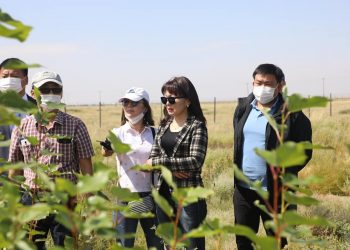 БОАЖ-ЫН САЙД ЦӨЛЖИЛТ ХҮНДЭРСЭН АЙМГУУДАД АЖИЛЛАЖ БАЙНА