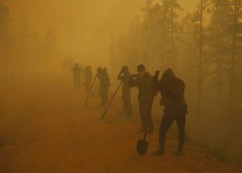 ТҮЙМЭР МОНГОЛ УЛСЫН ХИЛЭЭС 850 КМ-Н ЗАЙД АСАЖ БАЙНА