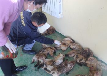 ТАРВАГА АГНАСАН, ХУДАЛДААЛСАН, ТЭЭВЭРЛЭСЭН 26 ЗӨРЧИЛ ИЛРҮҮЛЖЭЭ