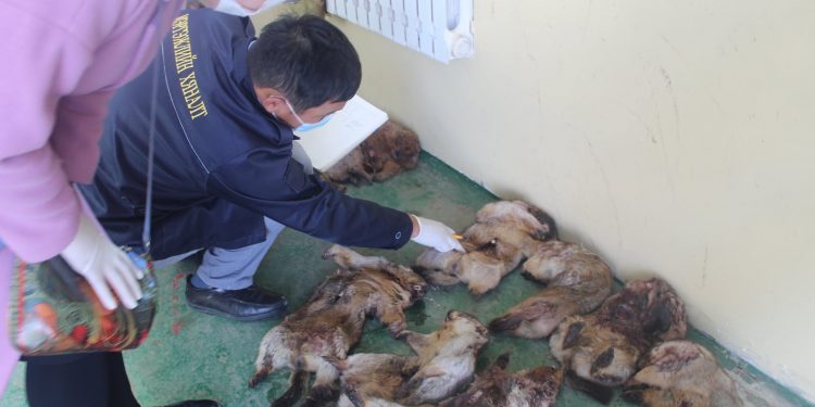 ТАРВАГА АГНАСАН, ХУДАЛДААЛСАН, ТЭЭВЭРЛЭСЭН 26 ЗӨРЧИЛ ИЛРҮҮЛЖЭЭ