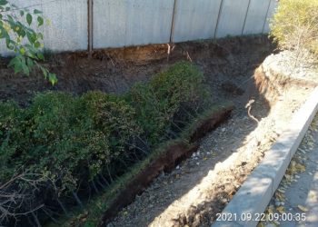 “Таван богд групп” зөвшөөрөлгүй 85 м газар ухахдаа 20 гаруй метр үргэлжлэх модны үндсийг сүйтгэжээ