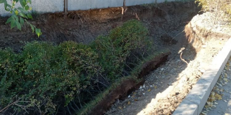 “Таван богд групп” зөвшөөрөлгүй 85 м газар ухахдаа 20 гаруй метр үргэлжлэх модны үндсийг сүйтгэжээ