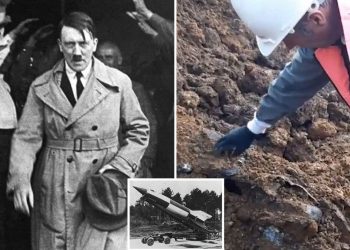 Археологичид Гитлерийн зэвсгийг 77 жилийн дараа олжээ