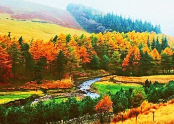 Сэр сэр салхинд хатсан навчис хийснэ…